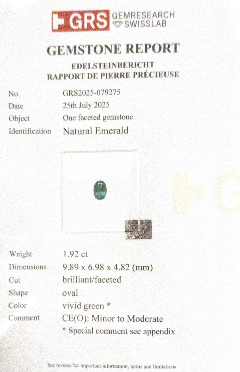 Broach Muzo Green