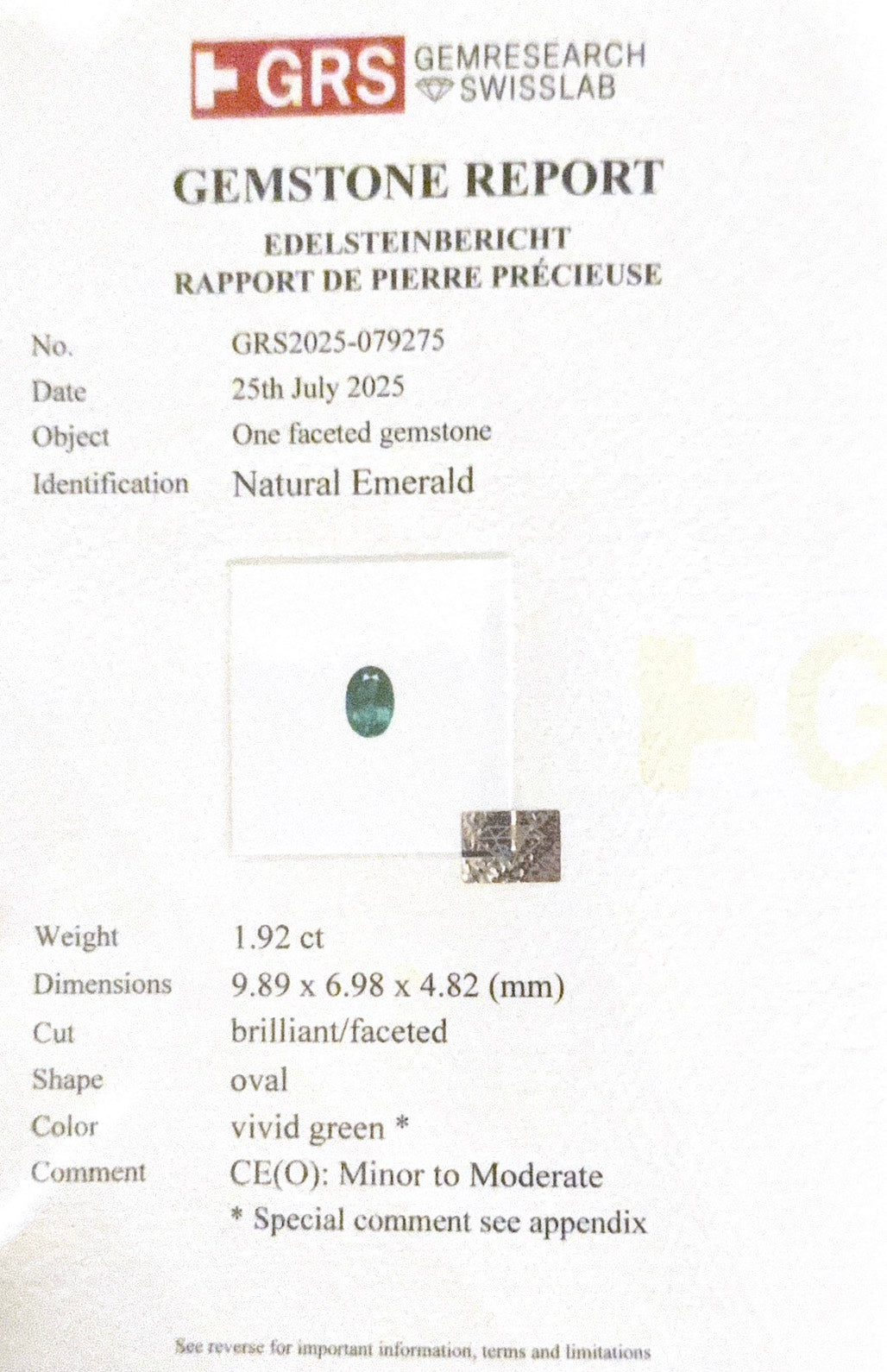 Broach Muzo Green